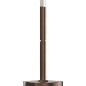 Outdoor Propane Gas Heater